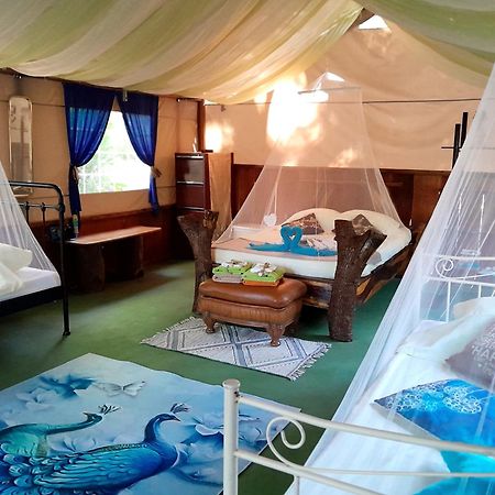 Fully Furnished Family Jungle Tent, Latino Glamping パケラ エクステリア 写真