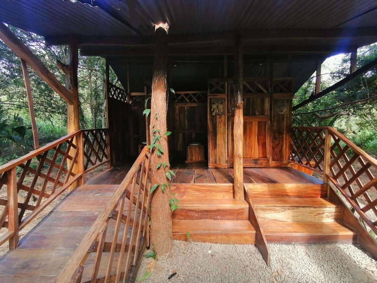Fully Furnished Family Jungle Tent, Latino Glamping パケラ エクステリア 写真