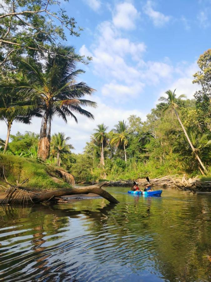 ホテル Fully Furnished Family Jungle Tent, Latino Glamping パケラ エクステリア 写真