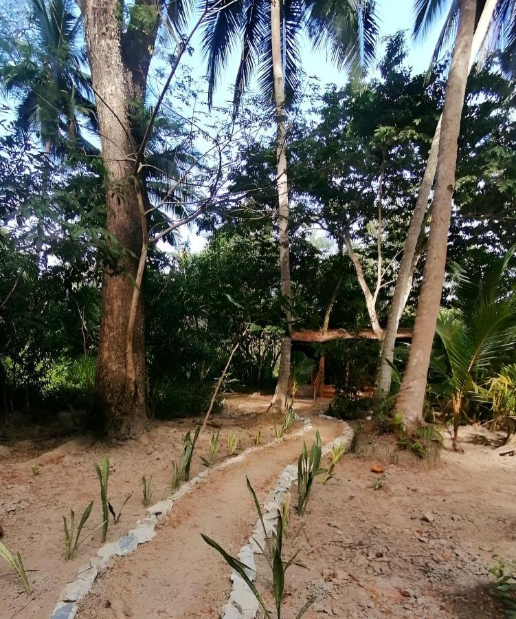 Fully Furnished Family Jungle Tent, Latino Glamping パケラ エクステリア 写真