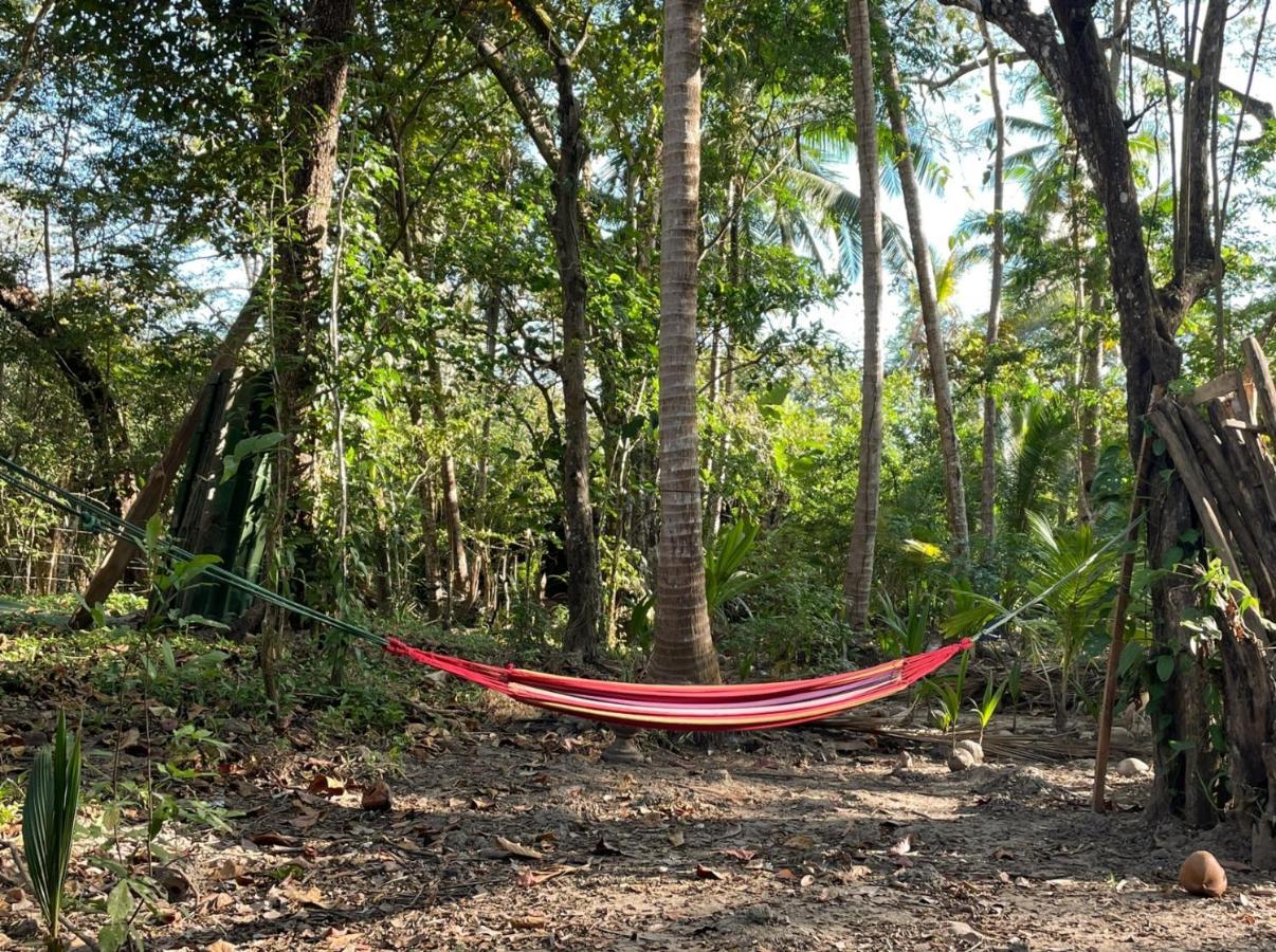 Fully Furnished Family Jungle Tent, Latino Glamping パケラ エクステリア 写真