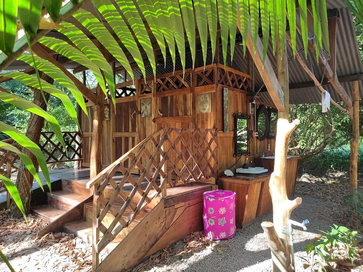 ホテル Fully Furnished Family Jungle Tent, Latino Glamping パケラ エクステリア 写真