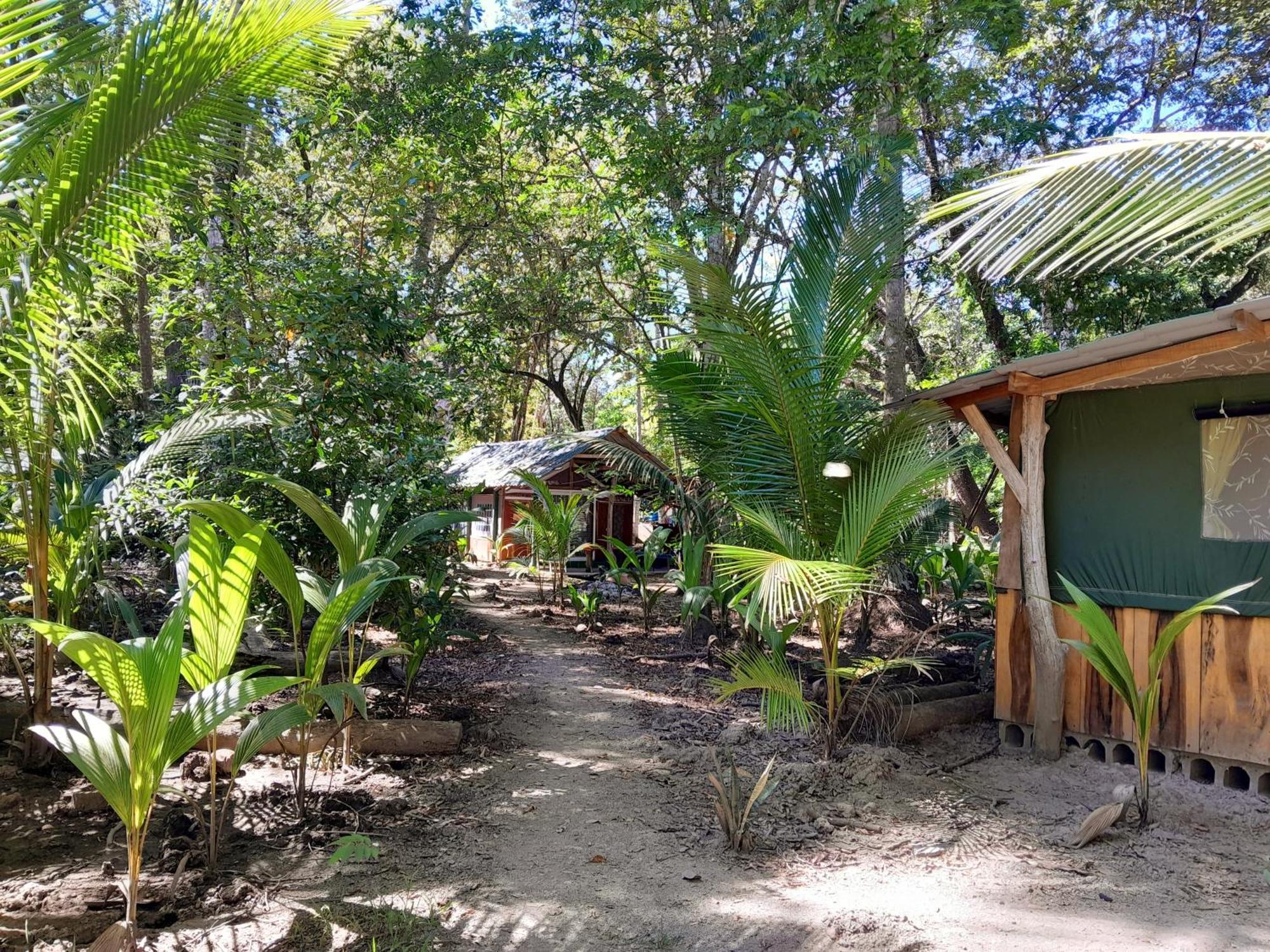 ホテル Fully Furnished Family Jungle Tent, Latino Glamping パケラ エクステリア 写真