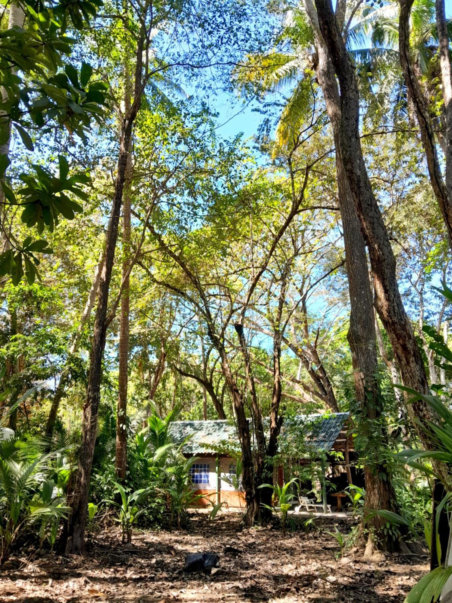 ホテル Fully Furnished Family Jungle Tent, Latino Glamping パケラ エクステリア 写真