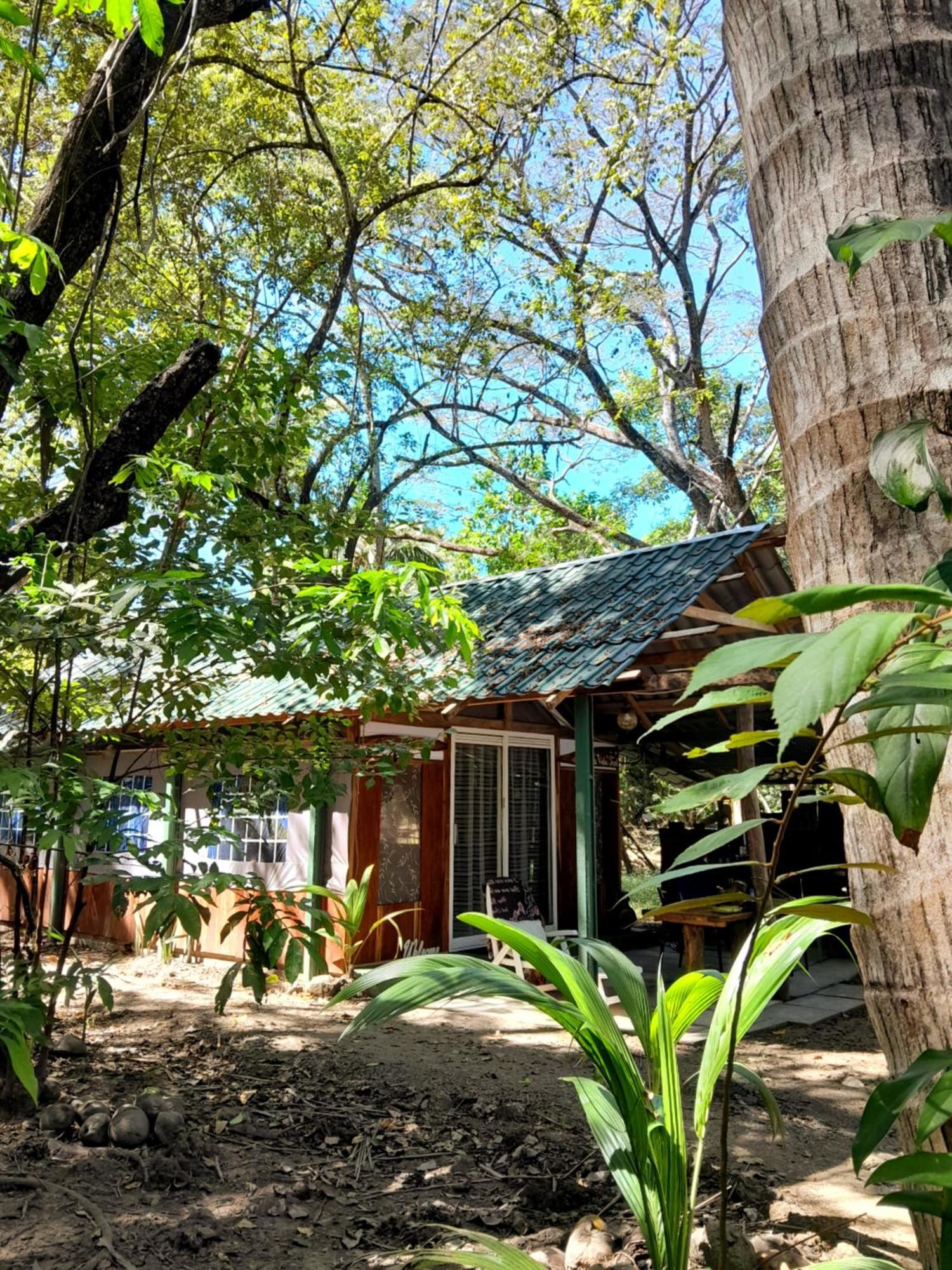 Fully Furnished Family Jungle Tent, Latino Glamping パケラ エクステリア 写真