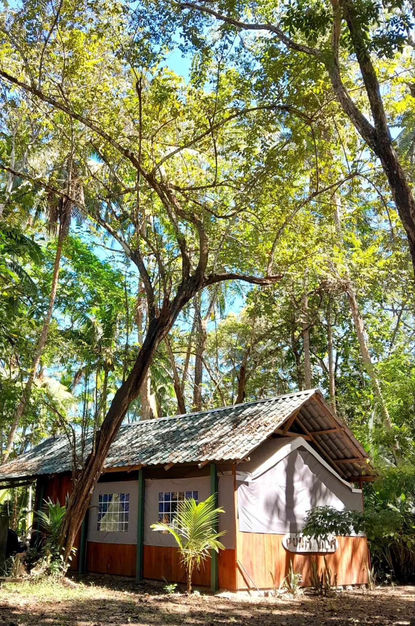 Fully Furnished Family Jungle Tent, Latino Glamping パケラ エクステリア 写真