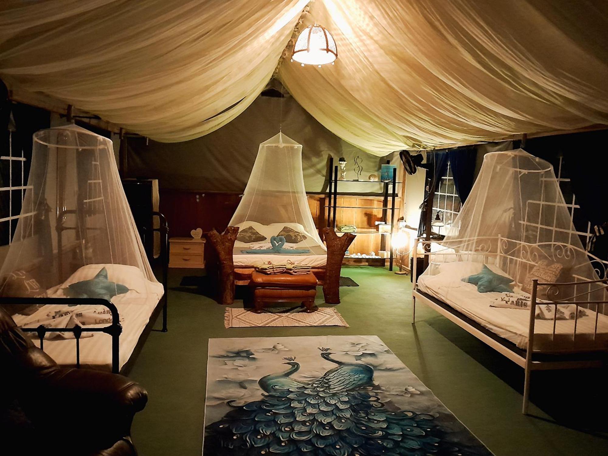 Fully Furnished Family Jungle Tent, Latino Glamping パケラ エクステリア 写真