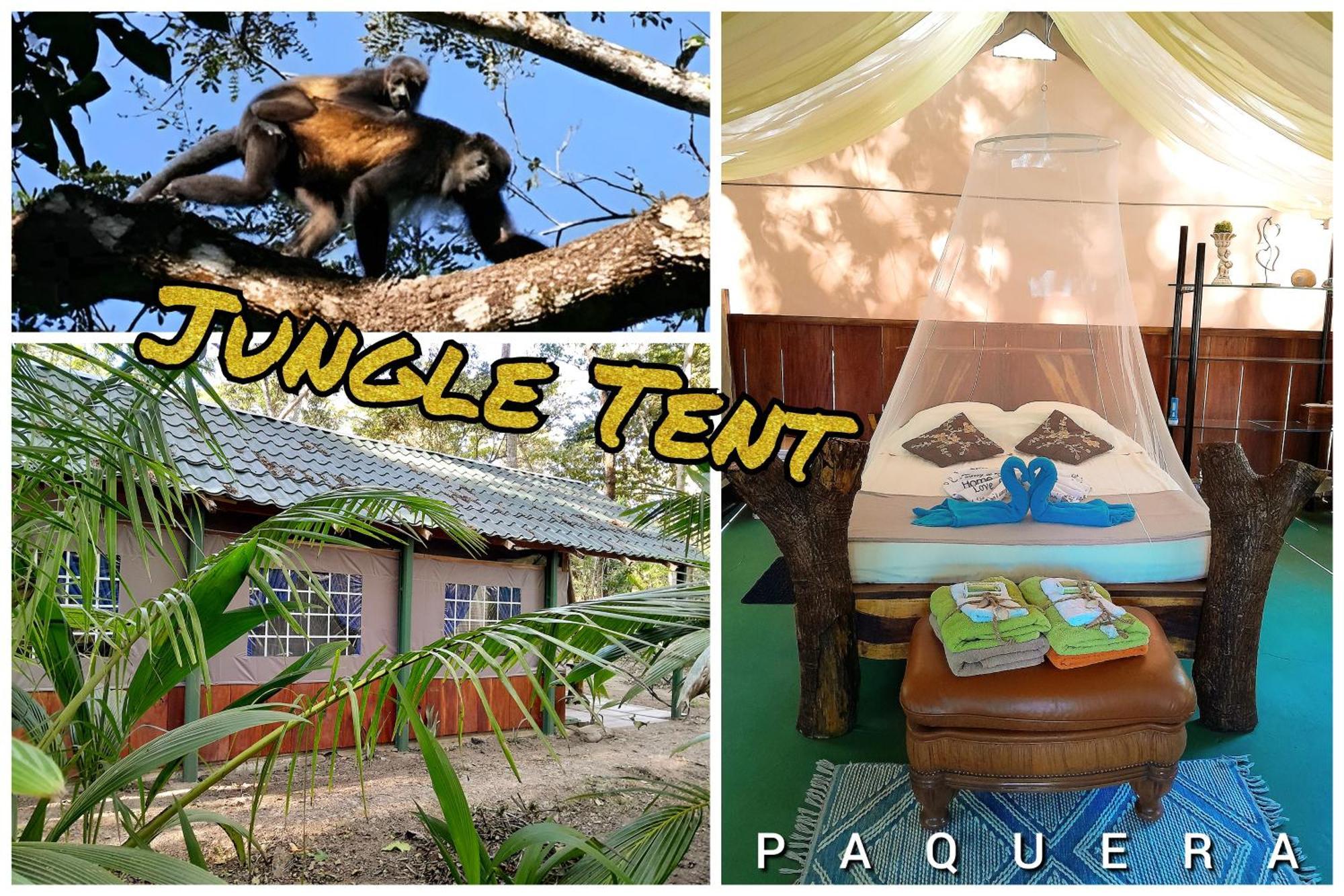 Fully Furnished Family Jungle Tent, Latino Glamping パケラ エクステリア 写真