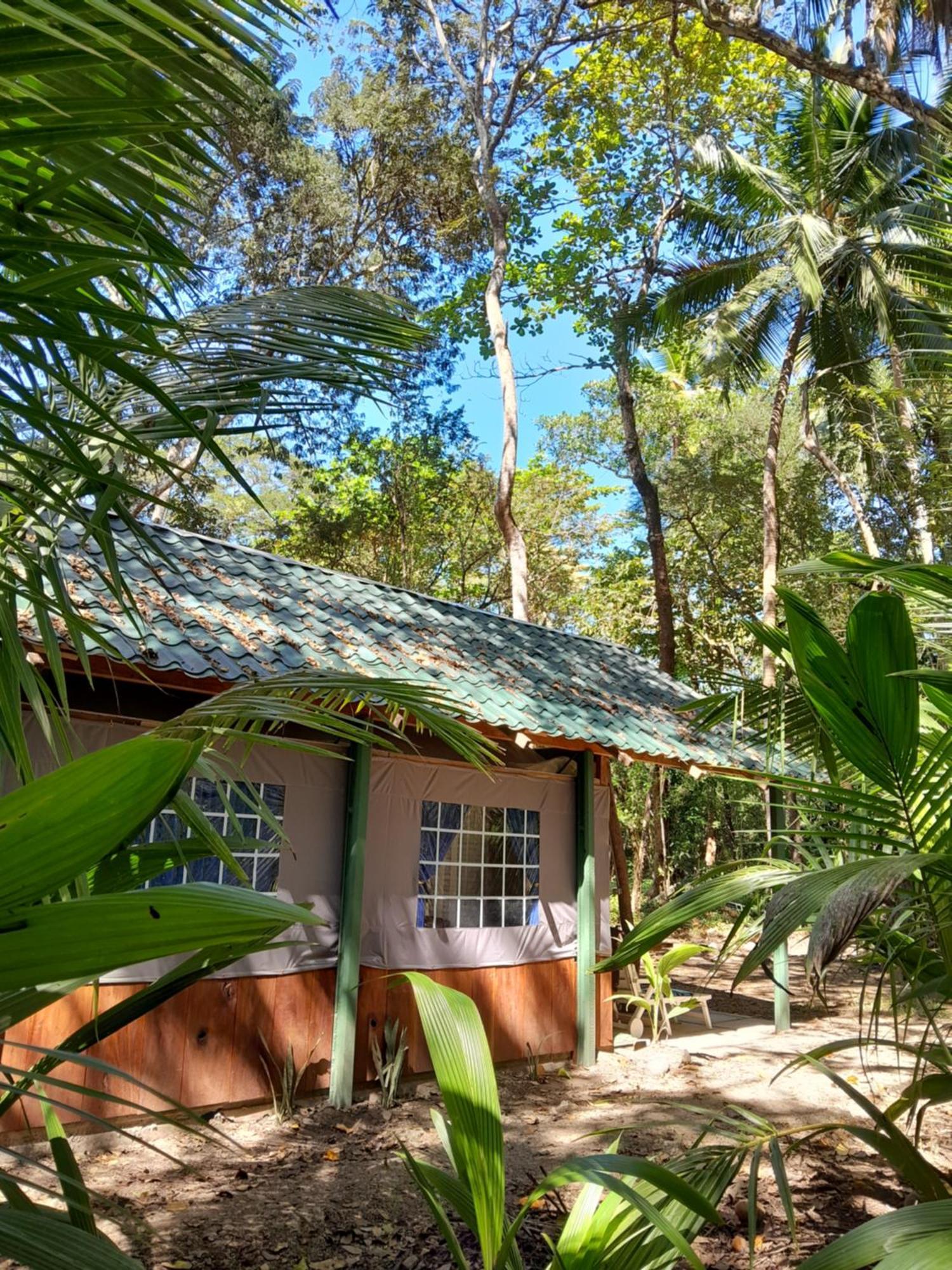 Fully Furnished Family Jungle Tent, Latino Glamping パケラ エクステリア 写真