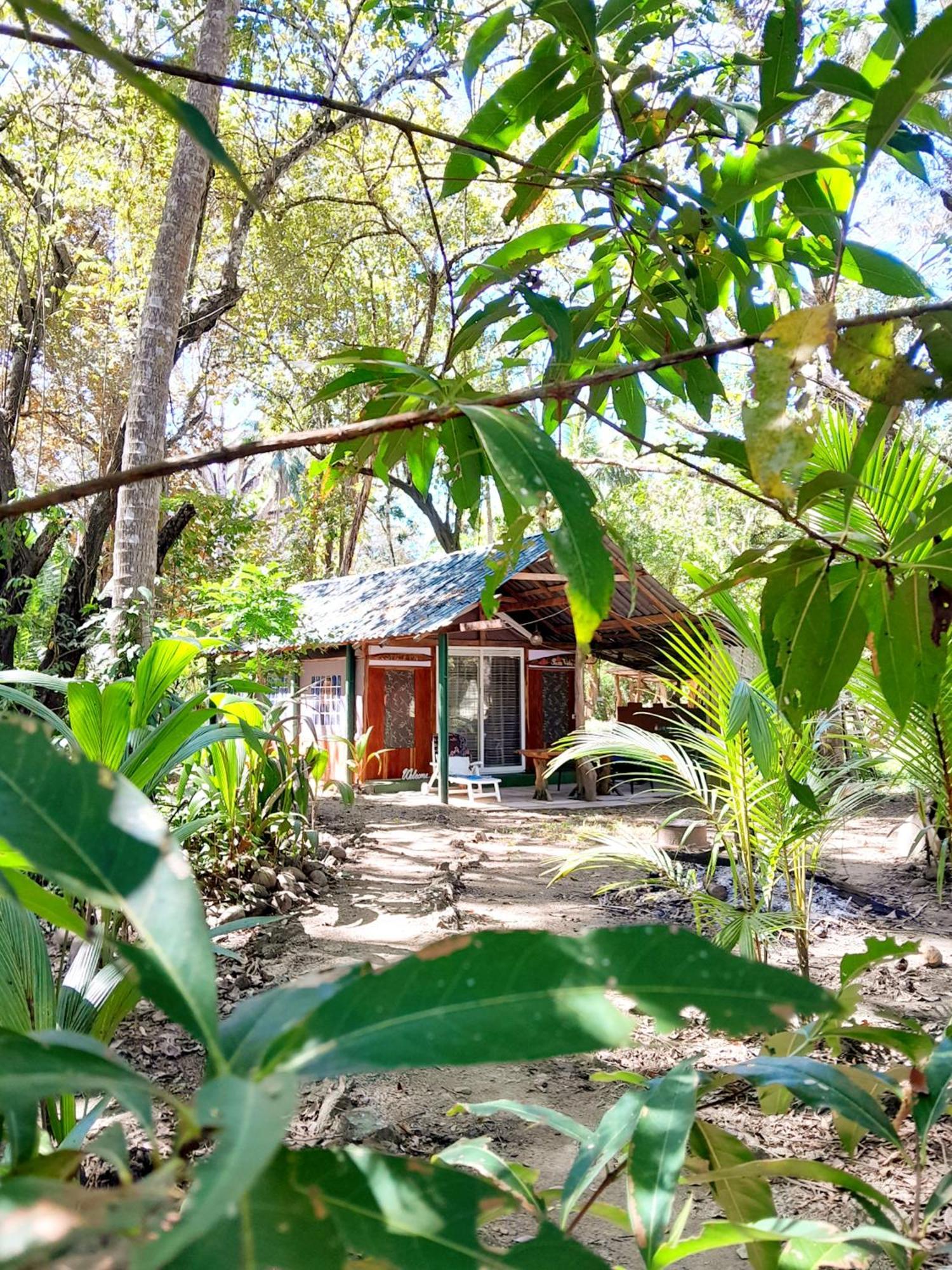 Fully Furnished Family Jungle Tent, Latino Glamping パケラ エクステリア 写真