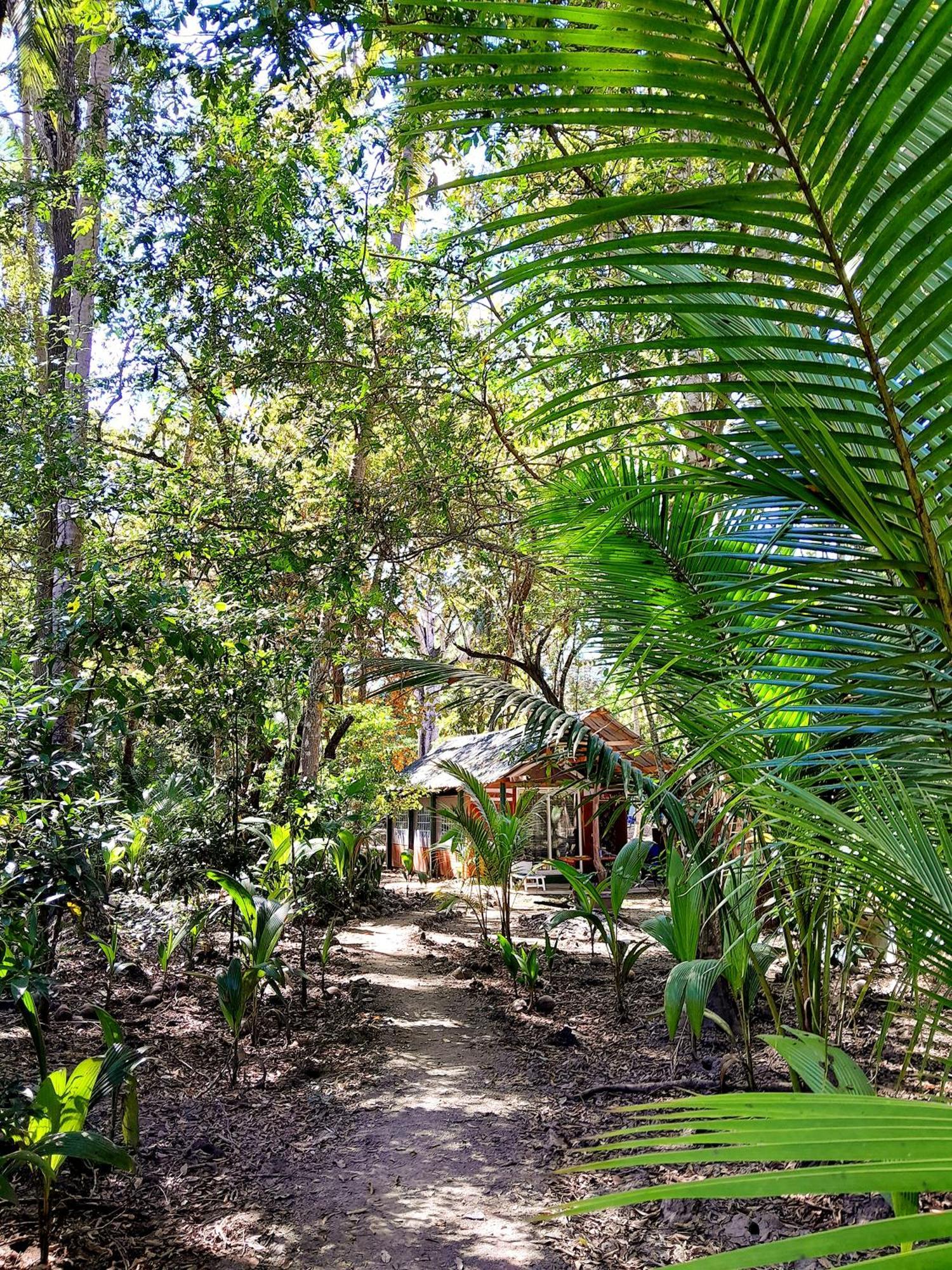 Fully Furnished Family Jungle Tent, Latino Glamping パケラ エクステリア 写真
