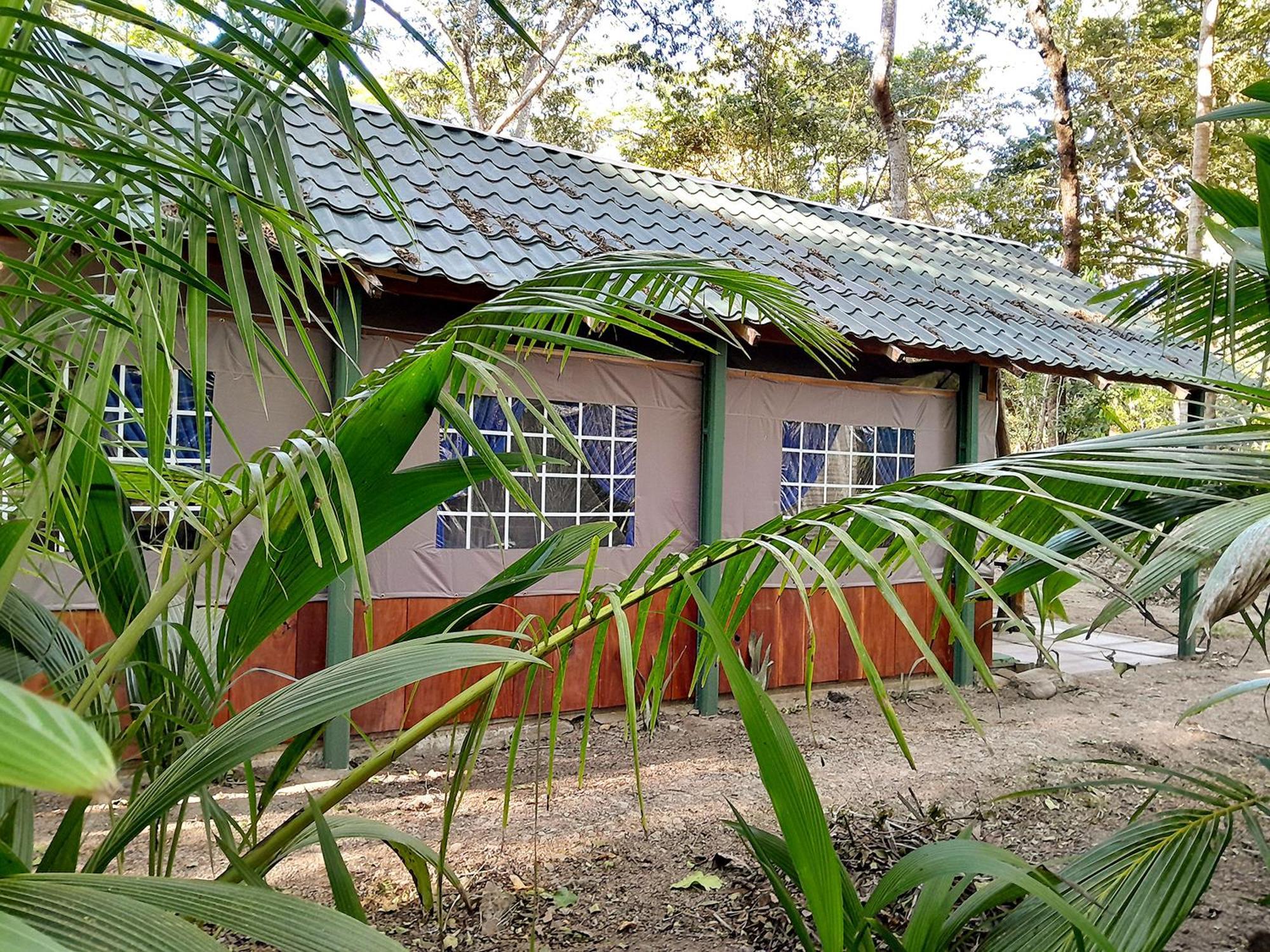 ホテル Fully Furnished Family Jungle Tent, Latino Glamping パケラ エクステリア 写真