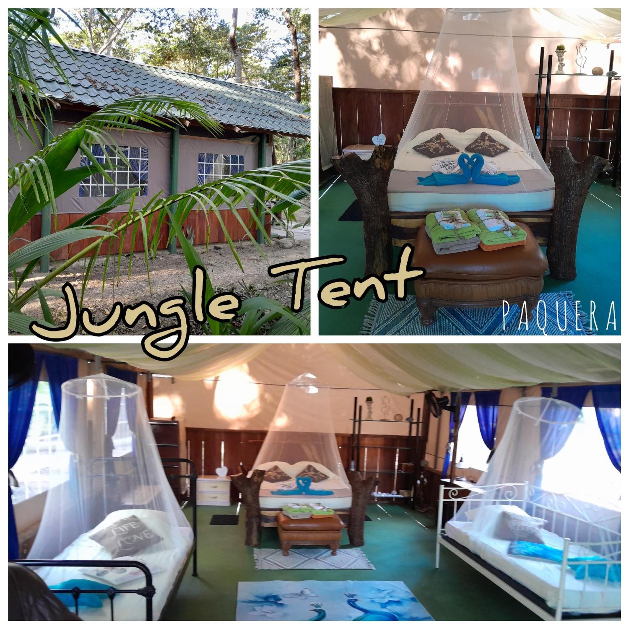 ホテル Fully Furnished Family Jungle Tent, Latino Glamping パケラ エクステリア 写真