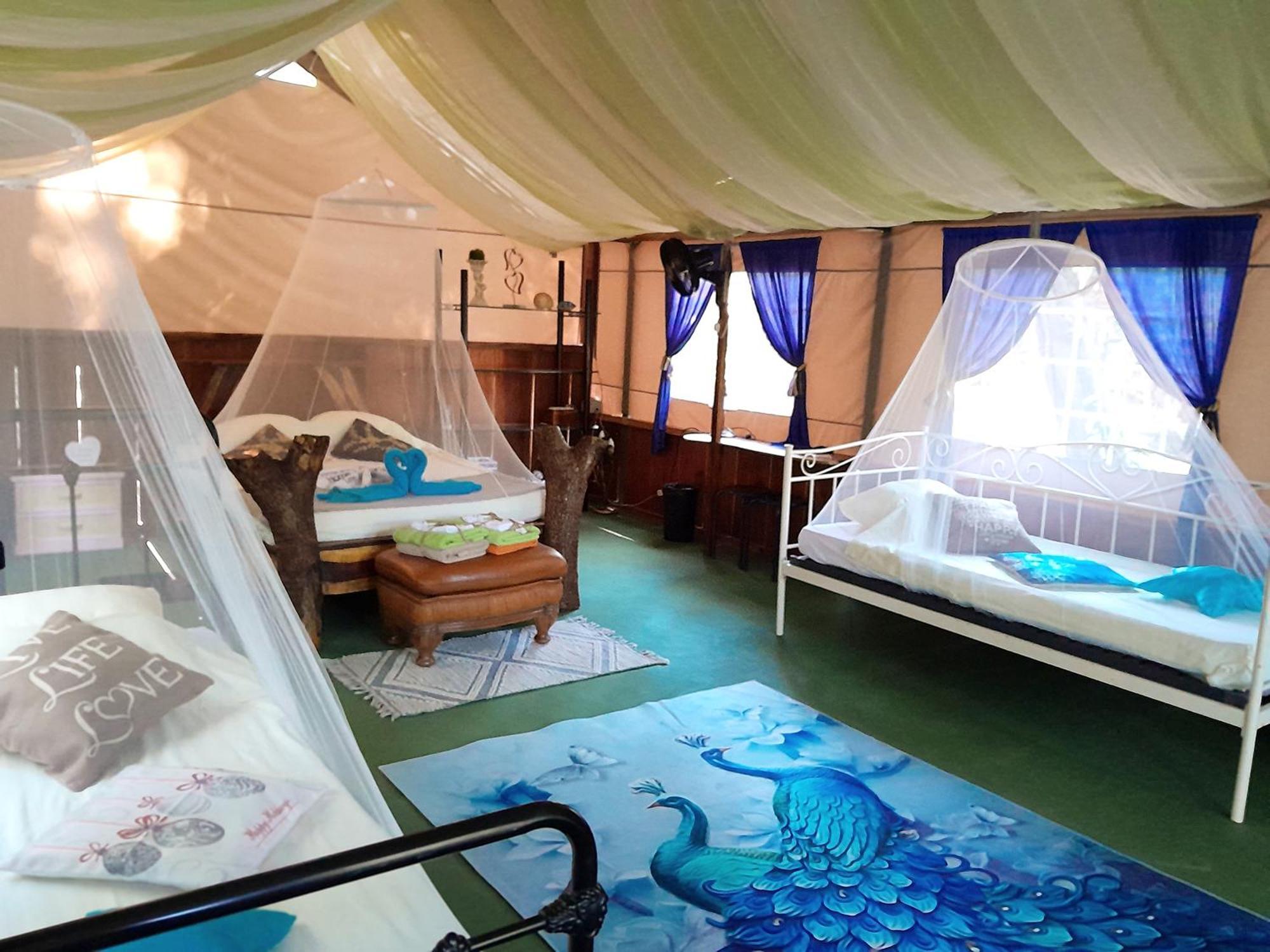 ホテル Fully Furnished Family Jungle Tent, Latino Glamping パケラ エクステリア 写真