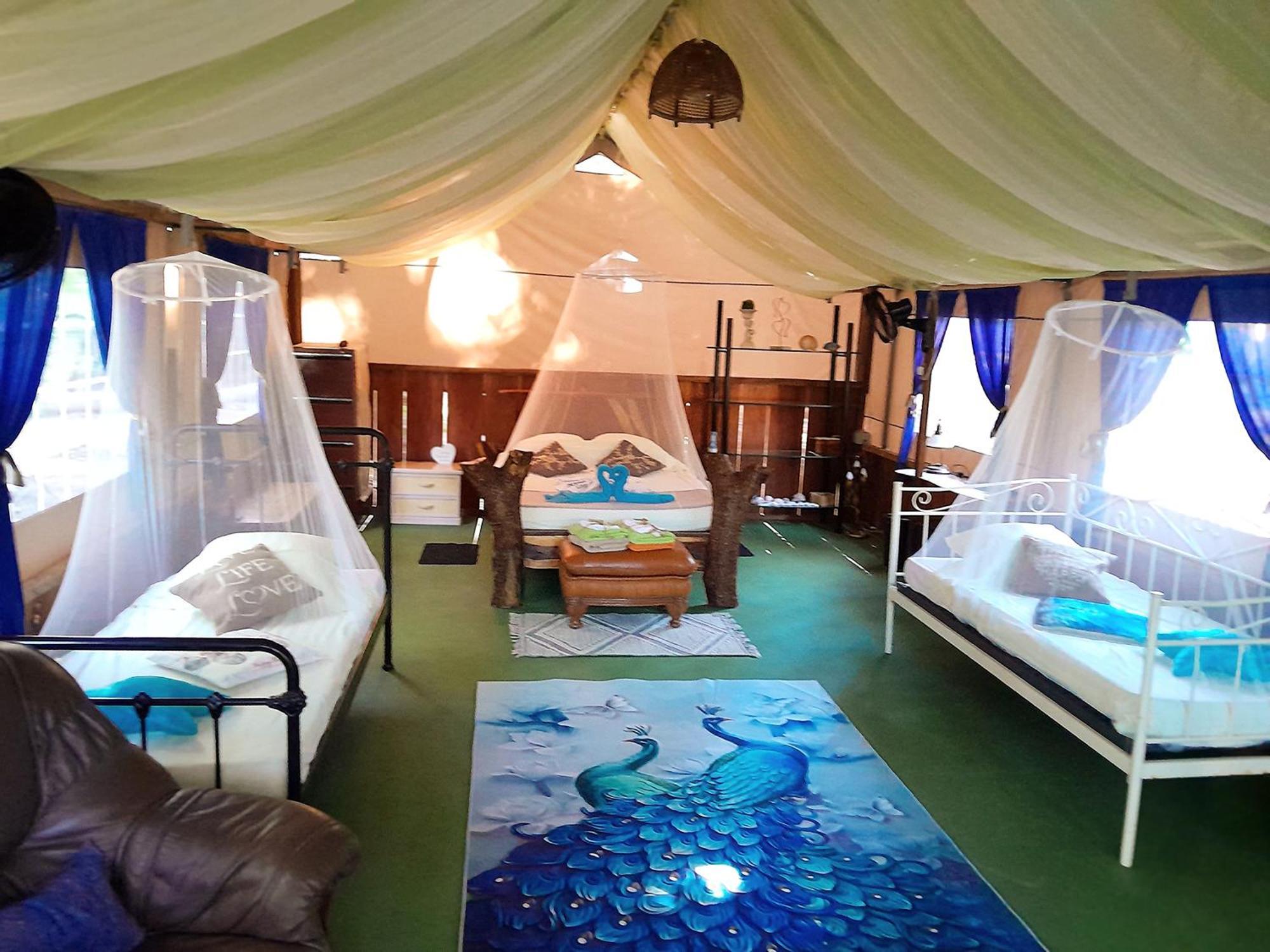 Fully Furnished Family Jungle Tent, Latino Glamping パケラ エクステリア 写真