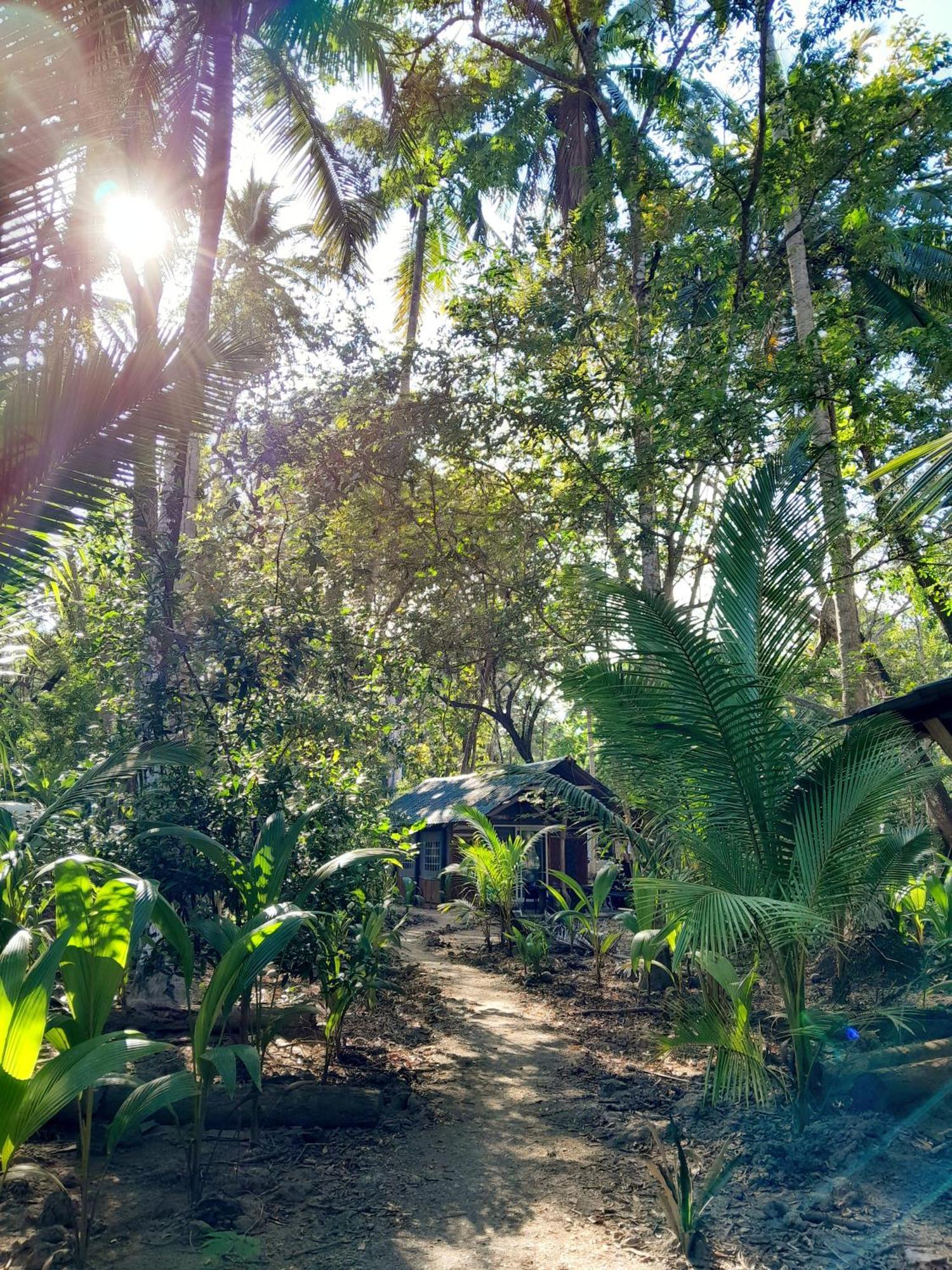 ホテル Fully Furnished Family Jungle Tent, Latino Glamping パケラ エクステリア 写真